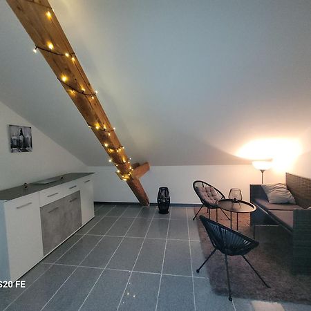 Penthouse N74 Linz 120 Qm Kids Welcome! Extérieur photo