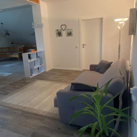 Penthouse N74 Linz 120 Qm Kids Welcome! Extérieur photo