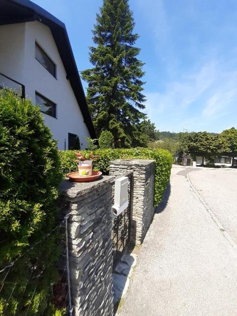 Penthouse N74 Linz 120 Qm Kids Welcome! Extérieur photo