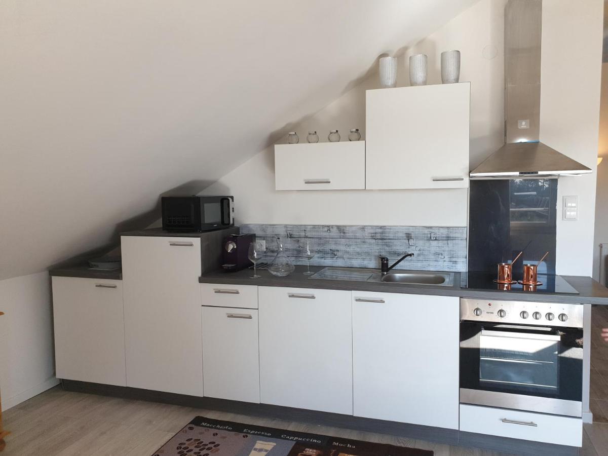 Penthouse N74 Linz 120 Qm Kids Welcome! Extérieur photo