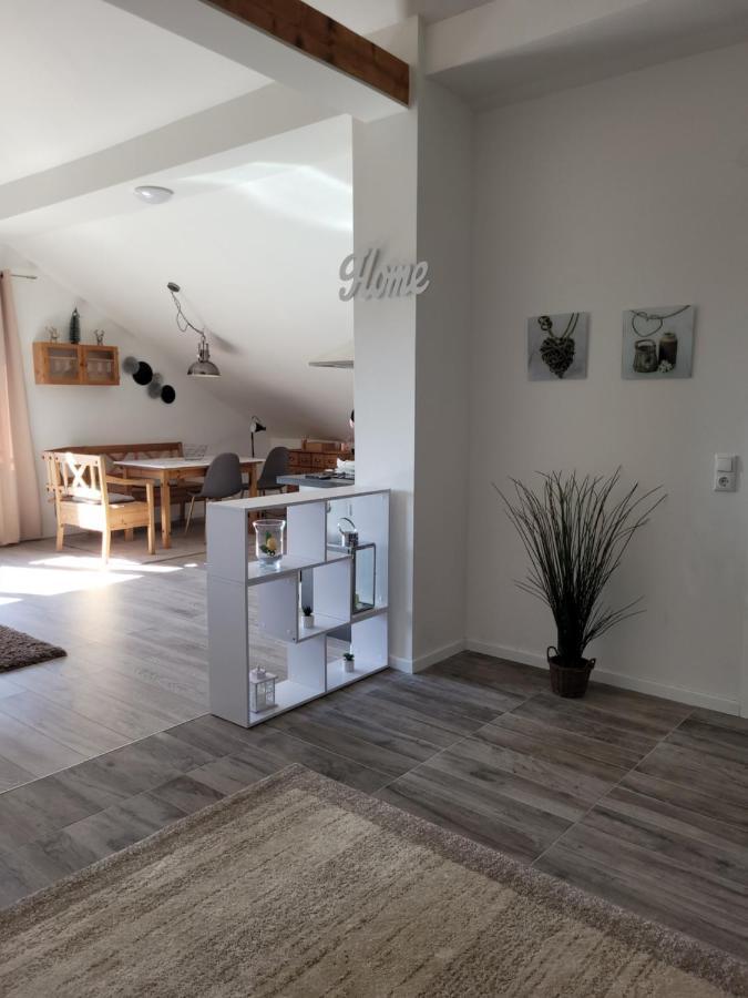 Penthouse N74 Linz 120 Qm Kids Welcome! Extérieur photo