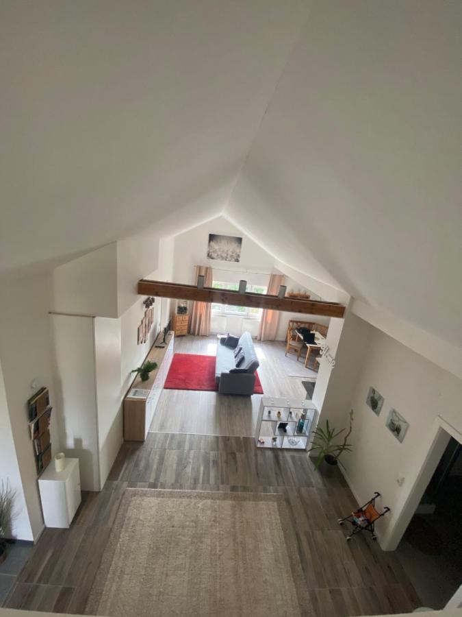 Penthouse N74 Linz 120 Qm Kids Welcome! Extérieur photo