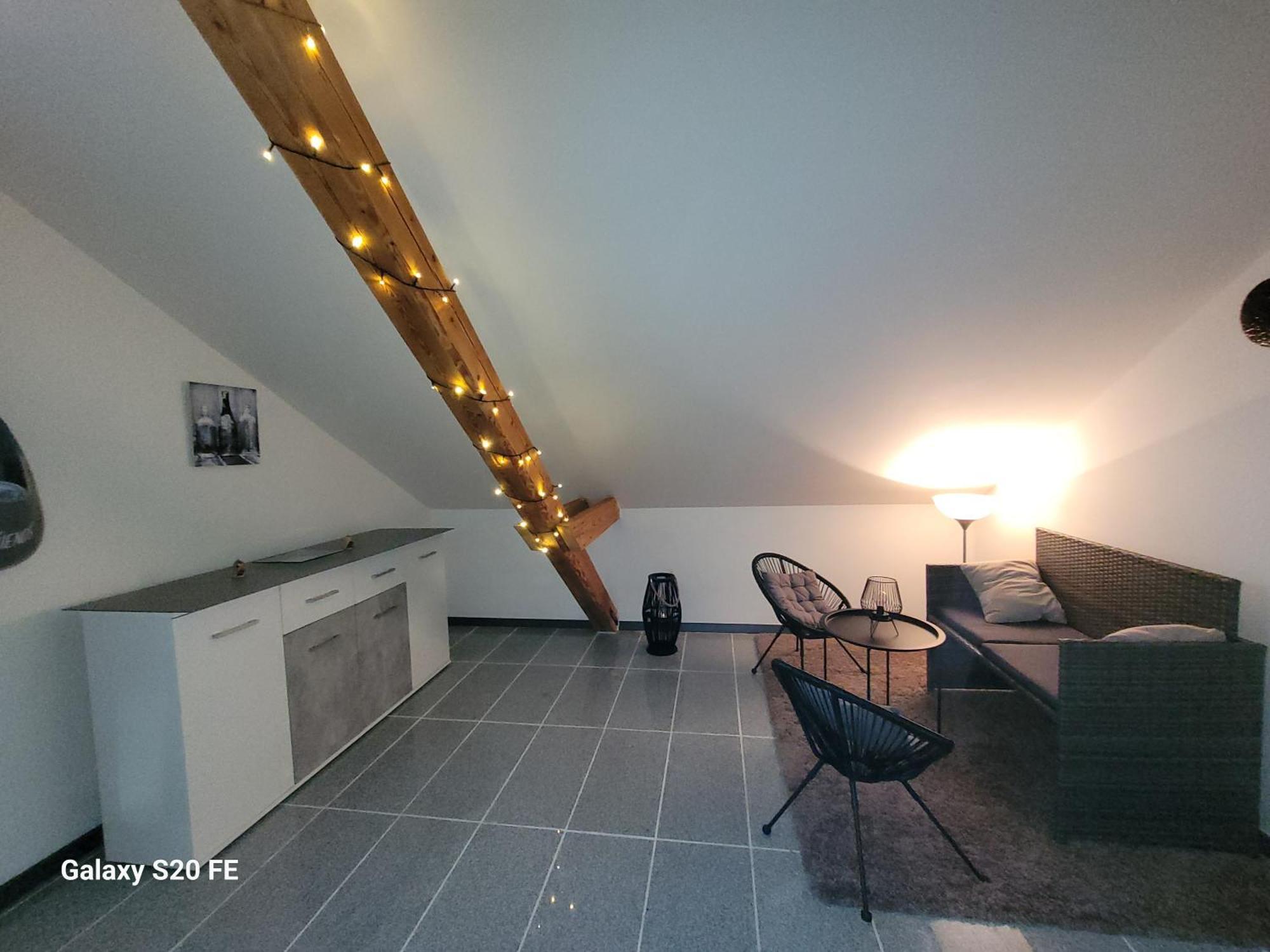 Penthouse N74 Linz 120 Qm Kids Welcome! Extérieur photo