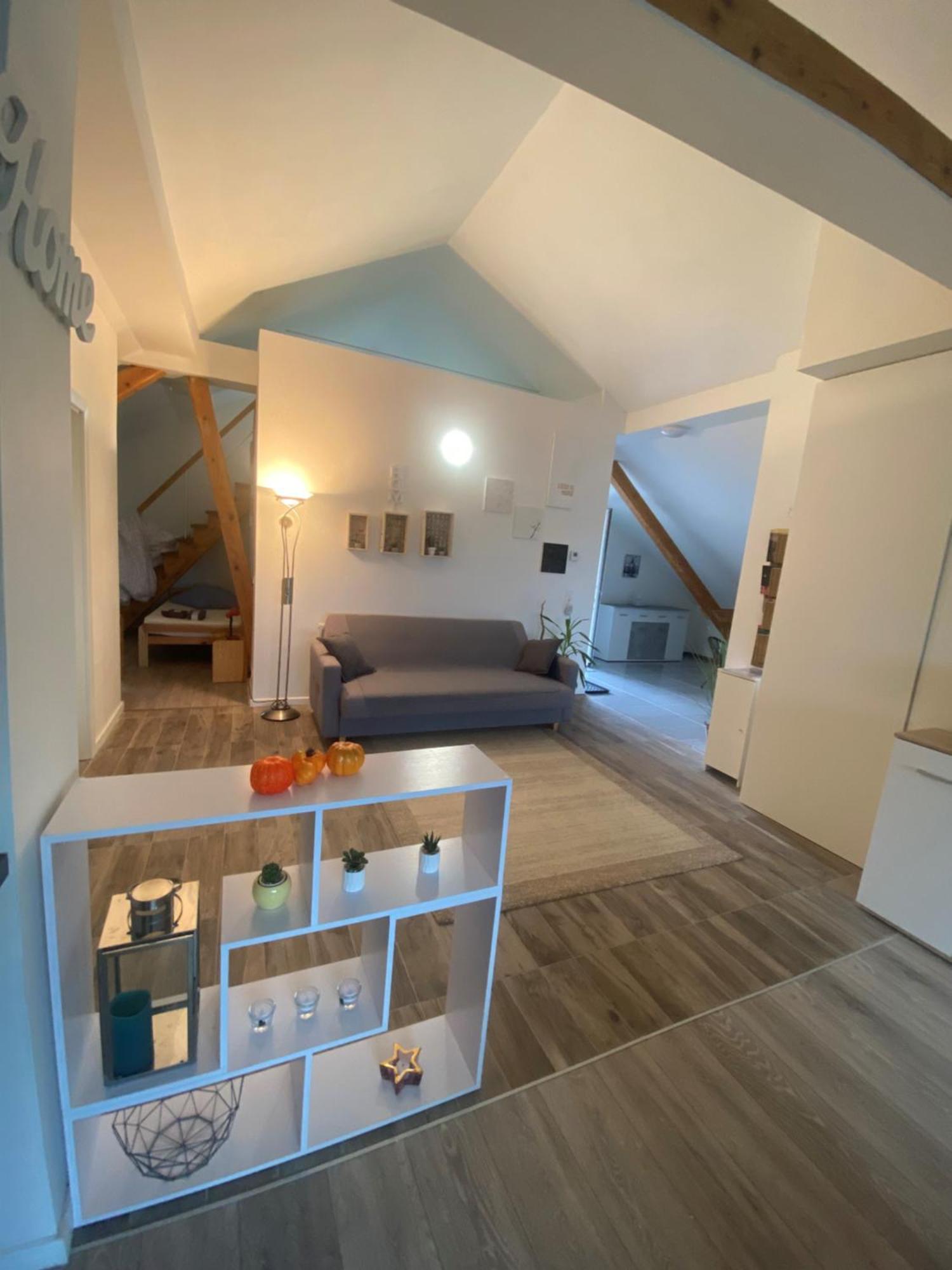 Penthouse N74 Linz 120 Qm Kids Welcome! Extérieur photo
